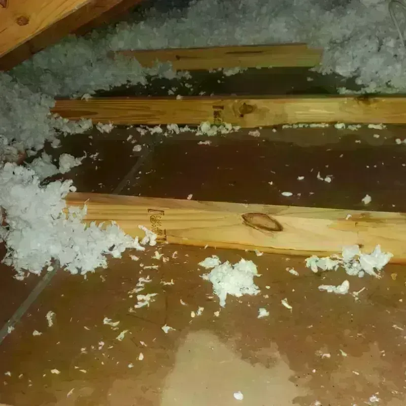 Attic Water Damage in Munhall, PA